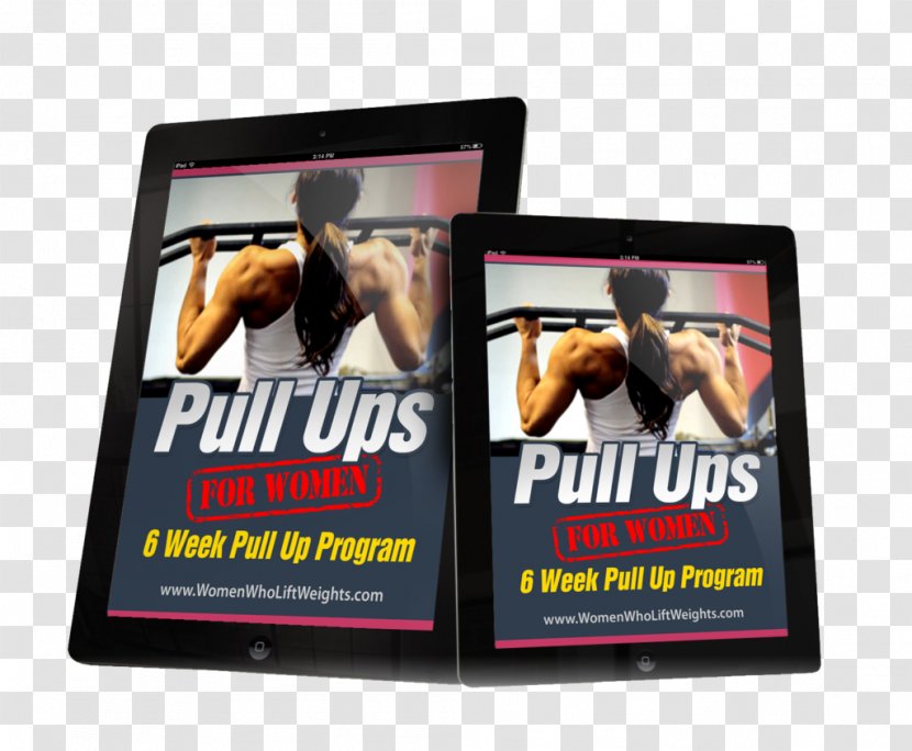 Weight Training Pull-up Display Advertising Poster - Female - Pull Up Transparent PNG
