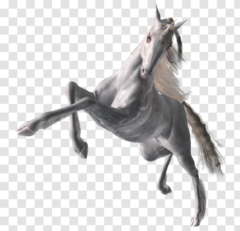 Horse Halter Mane Stallion Unicorn - Blog Transparent PNG