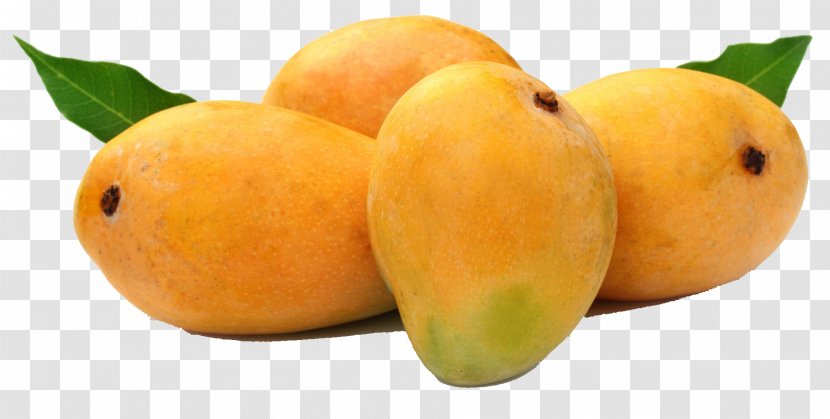 Alphonso Mango Fruit Devgad Taluka Organic Food - Local Transparent PNG