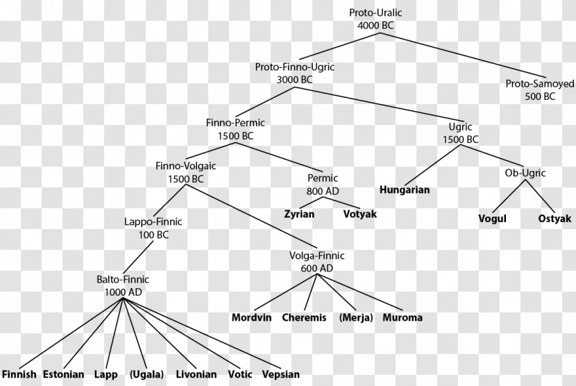 Uralic Languages Hungarian Language Family Finnish - Symmetry - Tree Branch Transparent PNG