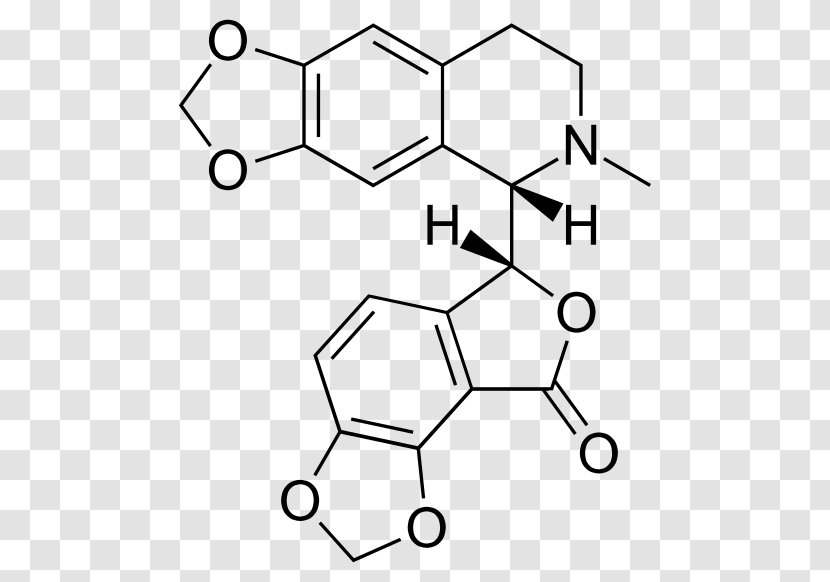 GABAA Receptor Bicuculline Cyclic Compound GABA Chemical - Material - Vectormagic Transparent PNG