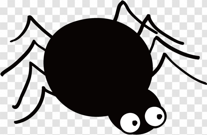 Spider Halloween - Cartoon - Coloring Book Blackandwhite Transparent PNG