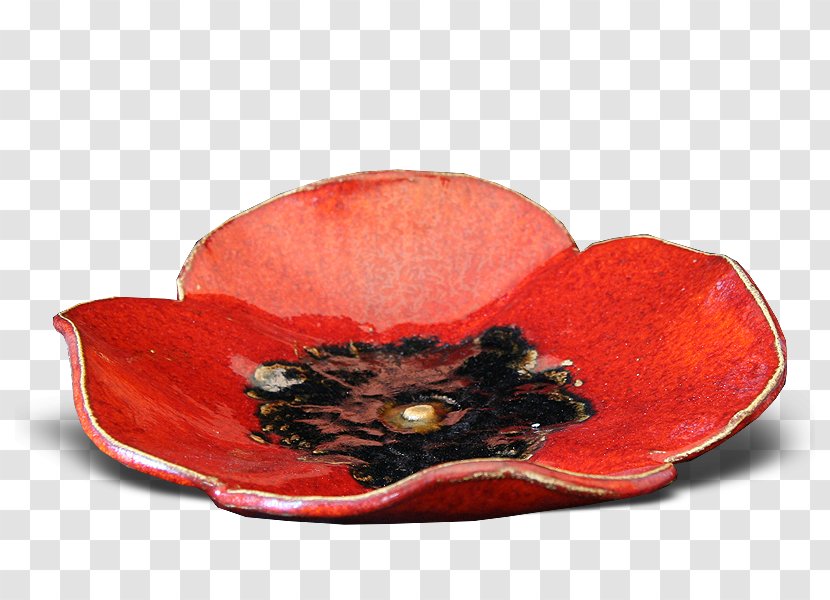 Petal - Poppy Family - Kwiat Transparent PNG