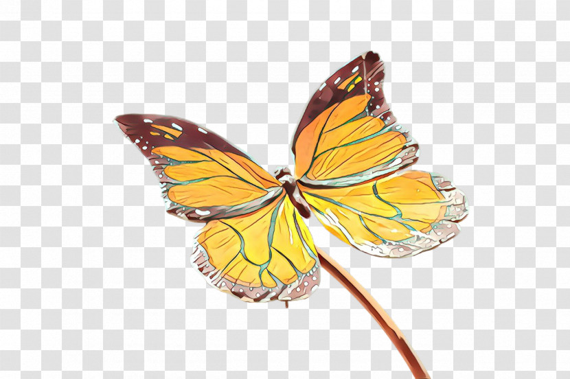 Monarch Butterfly Transparent PNG