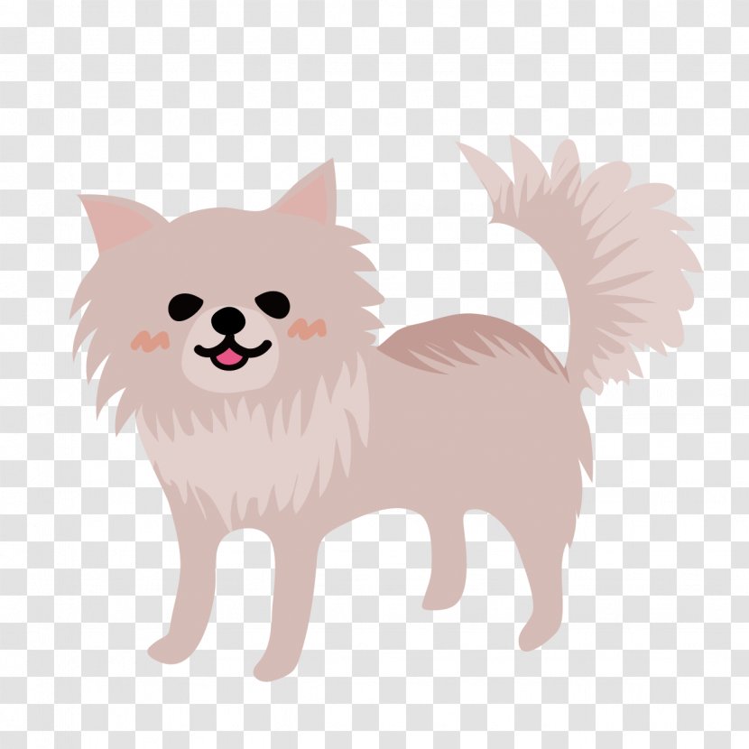 Pomeranian Puppy Companion Dog Breed Whiskers - Ossans Love Transparent PNG