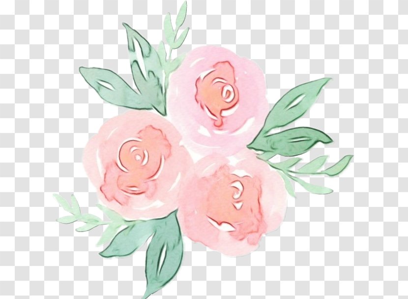 Watercolor Pink Flowers - Art Flowering Plant Transparent PNG