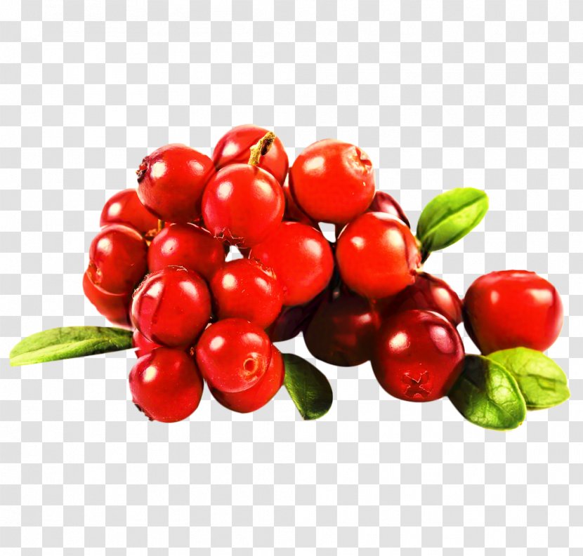 Fruit Juice - Food - Cranberry Ingredient Transparent PNG