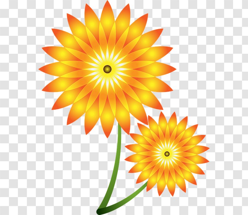 Common Sunflower Clip Art - Pixel - Kwiatysloneczniki Transparent PNG