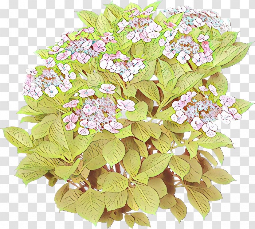 Flower Plant Flowering Lilac Hydrangeaceae - Cornales - Bouquet Transparent PNG