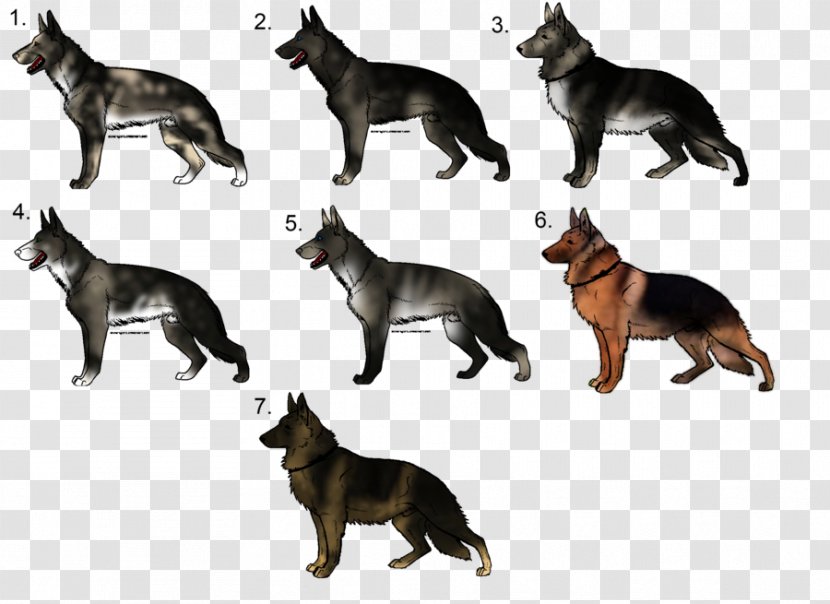 German Shepherd Dog Breed Puppy Razas Nativas Vulnerables - Thumb Transparent PNG