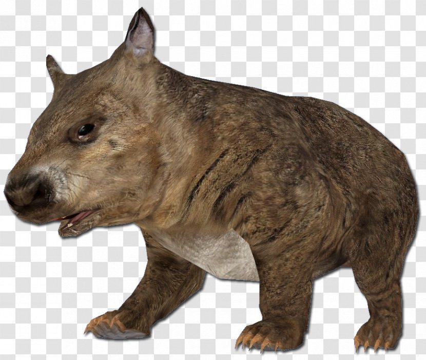 Rodent Animal Southern Hairy-nosed Wombat Mouse - Cartoon Transparent PNG