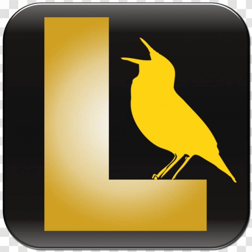 Bird Vocalization Beak Birdwatching Song - Shazam Transparent PNG