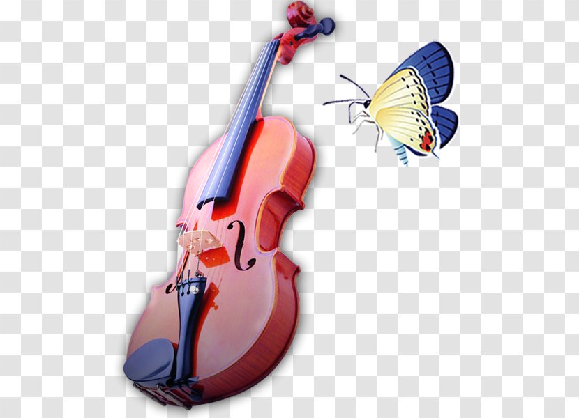 Violin Cello Viola Fiddle - Flower Transparent PNG