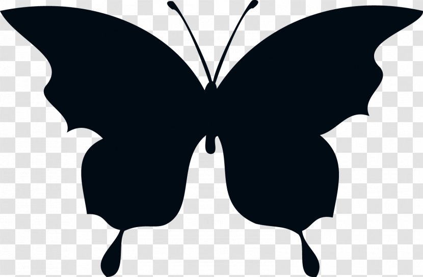 Butterfly Silhouette Drawing Clip Art - Wing - Silhouettes Transparent PNG