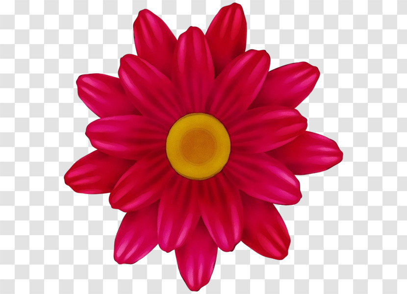 Petal Pink Flower Gerbera Barberton Daisy Transparent PNG