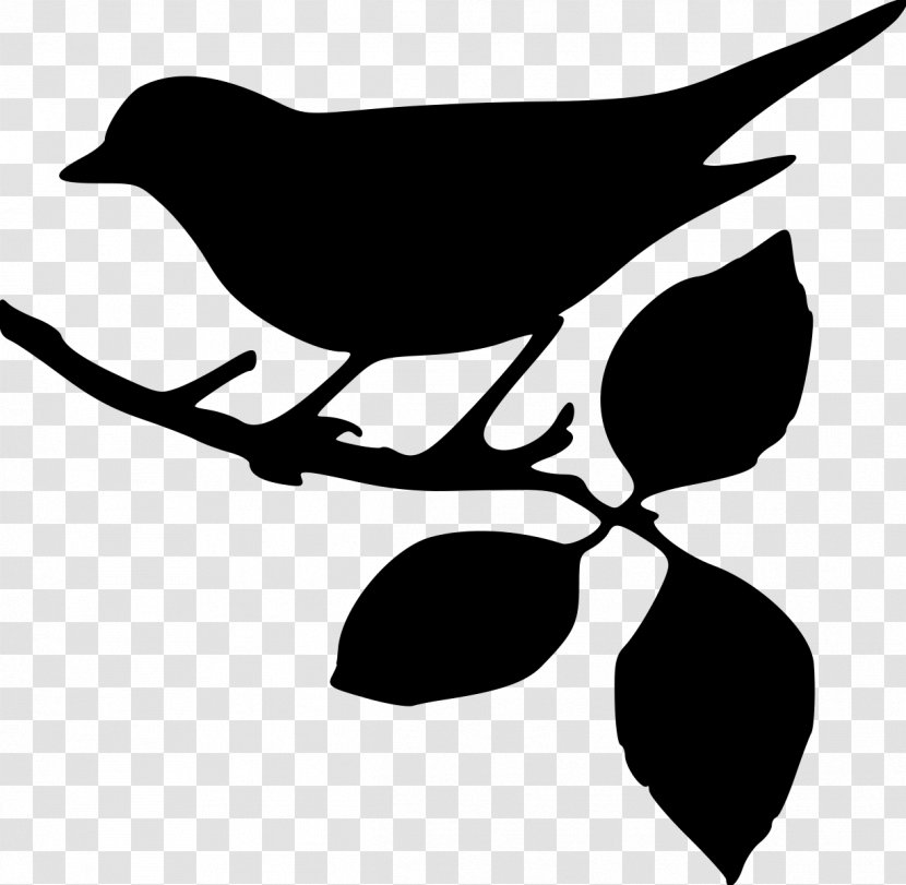 Tree Branch Silhouette - Plant - Beak Logo Transparent PNG
