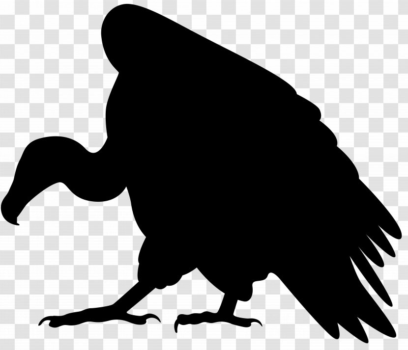 Vulture Silhouette Clip Art - Organism Transparent PNG