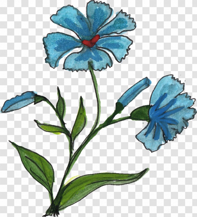 Flower Drawing Ornament - Art Transparent PNG