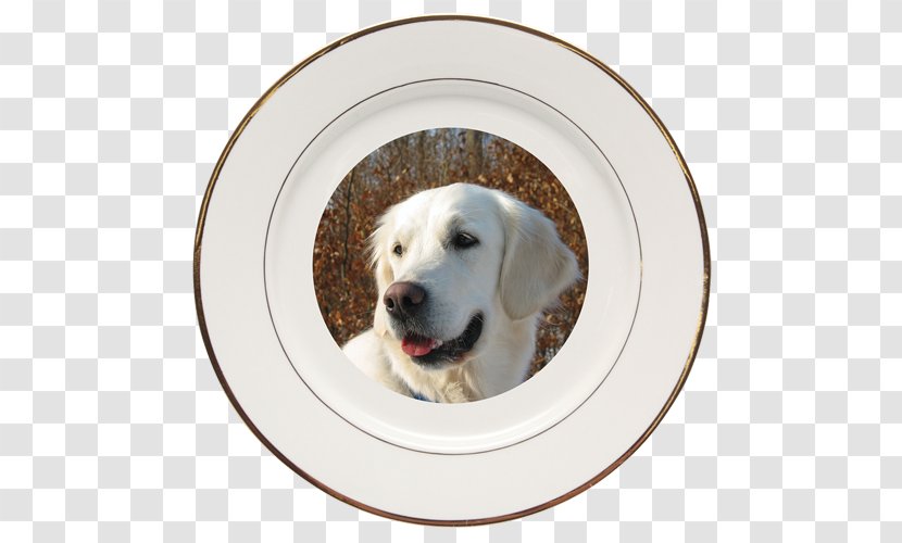 Labrador Retriever Dog Breed Puppy Chinese Astrology Sporting Group - Chromium Plated Transparent PNG