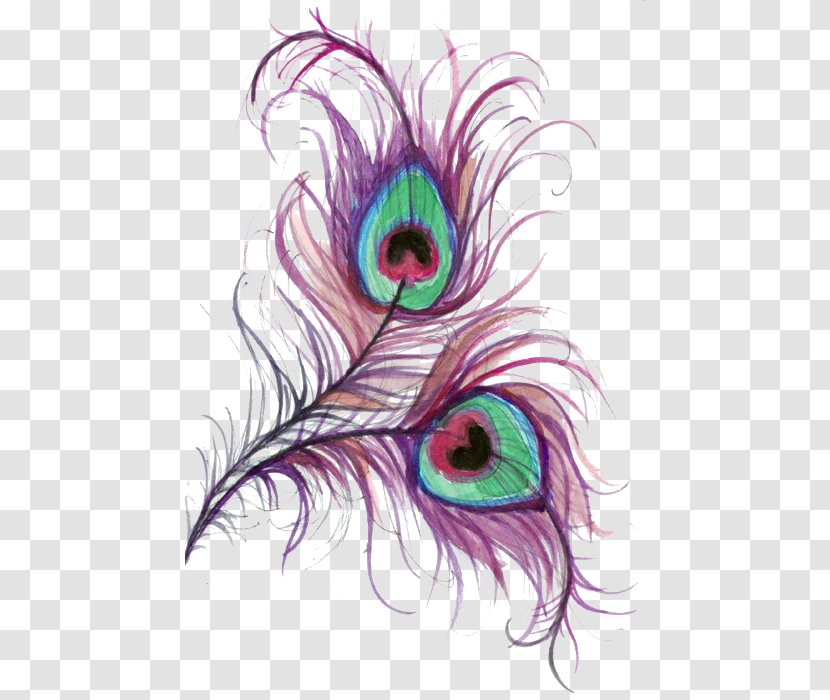 Peafowl Drawing Feather Color Clip Art - Watercolor Painting - Purple Feathers Transparent PNG
