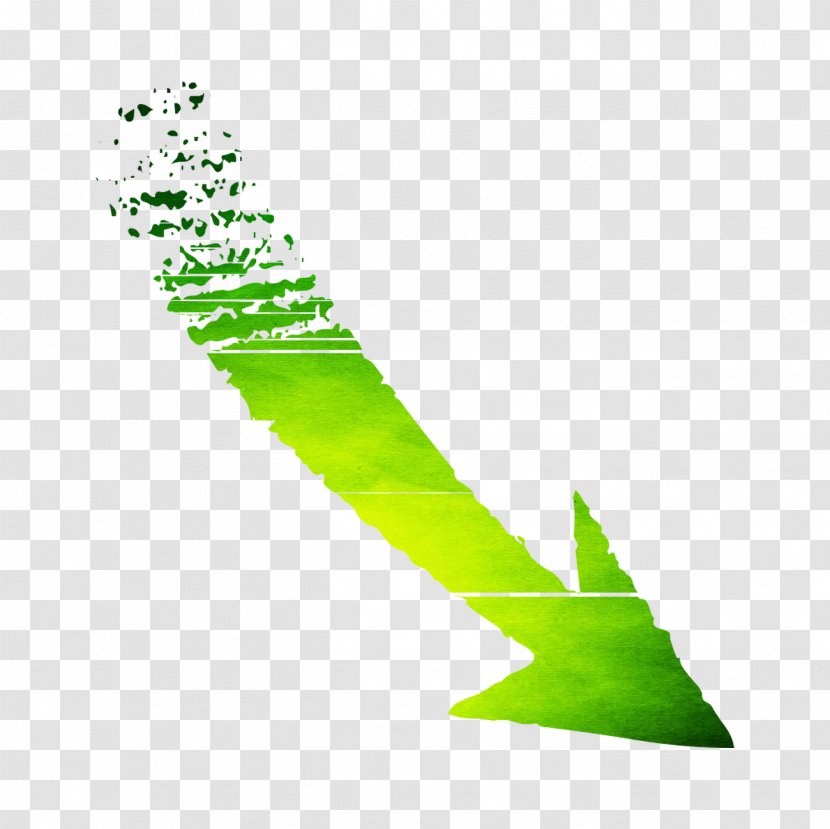 Line Angle Leaf Shoe Graphics - Plant - Green Transparent PNG