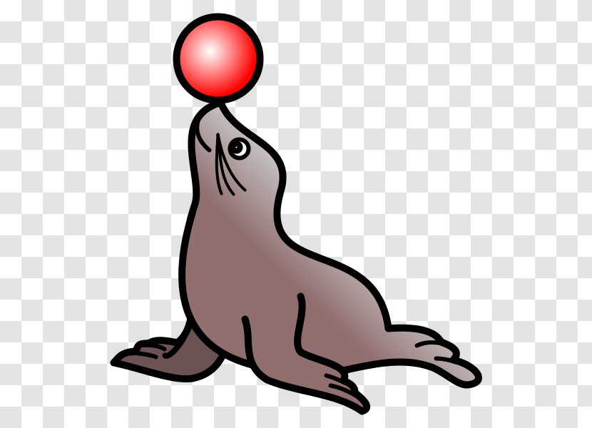 Sea Lion Circus Clip Art - Drawing Transparent PNG