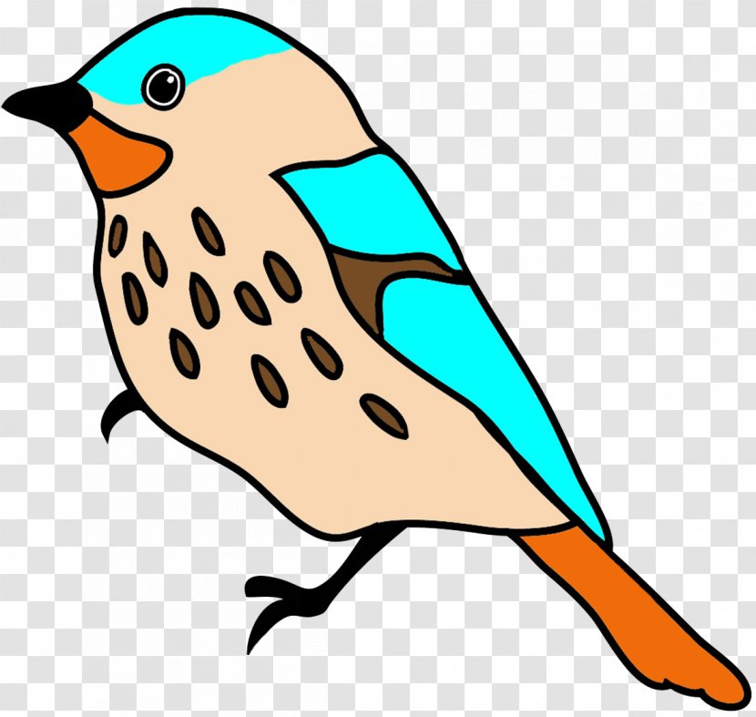 Bird Drawing Art Clip - Colored Pencil - Flying Transparent PNG