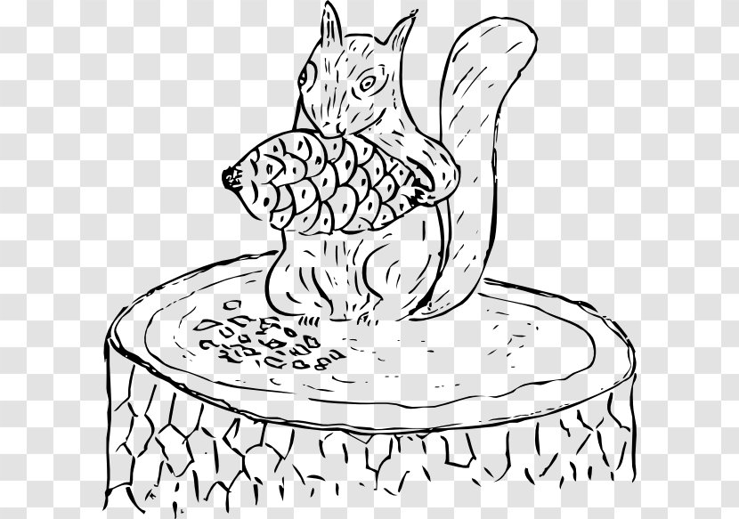 Conifer Cone Longleaf Pine Coulter Balsam Fir Clip Art - Vertebrate - Squirrel Cartoon Vector Transparent PNG