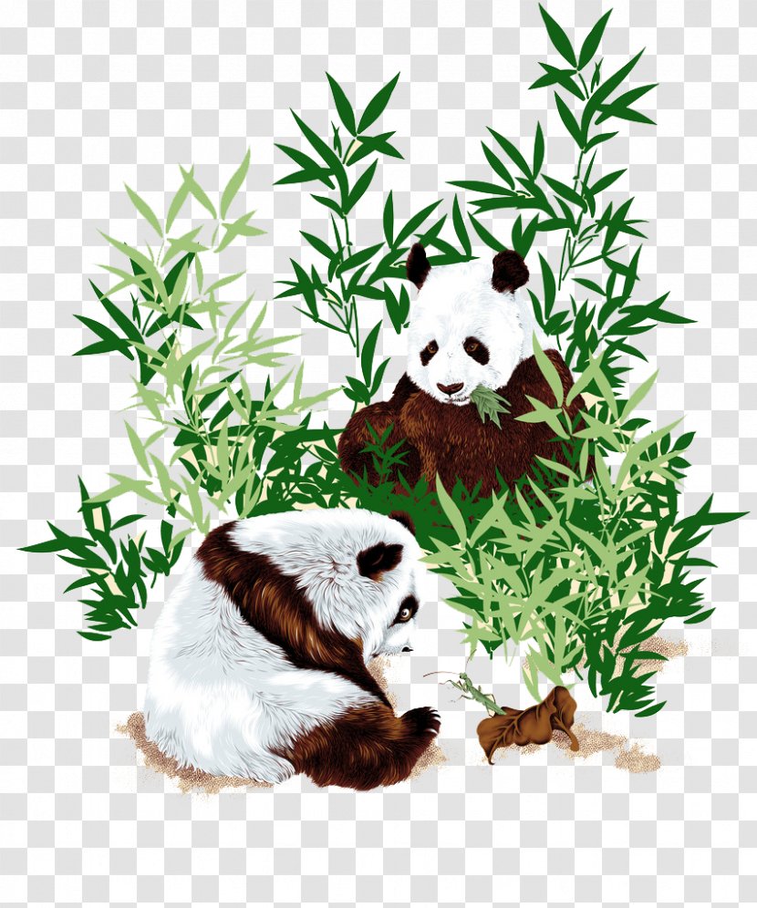 Chinese Cuisine Panda West Restaurant Giant Bamboo - Beautiful Hand-painted Pattern Transparent PNG