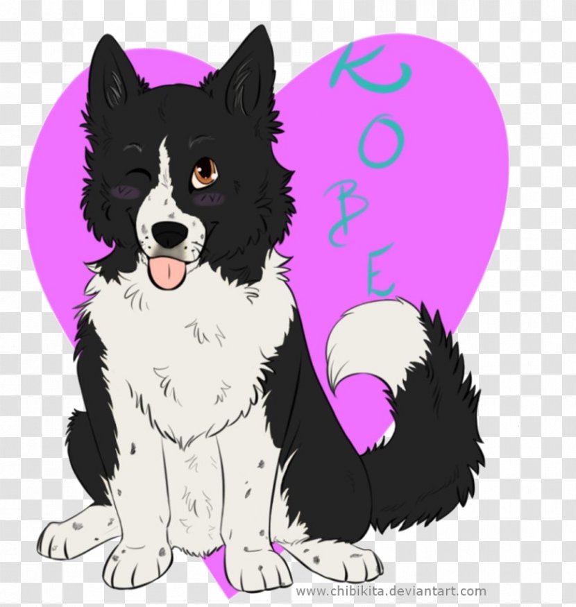 Dog Breed Border Collie Puppy Rough Whiskers Transparent PNG