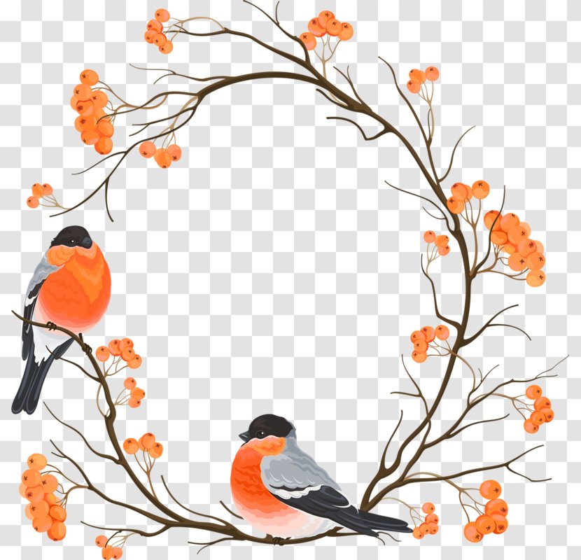 Eurasian Bullfinch Drawing Embroidery Clip Art - Owl - Chinese Wind Round Border Branch Bird Transparent PNG