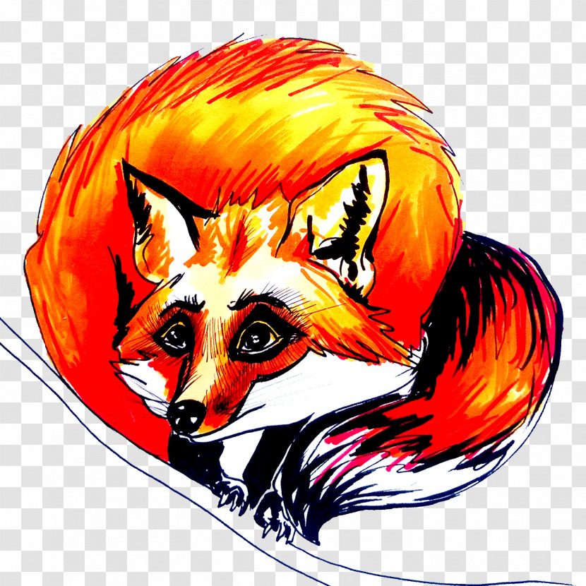 Red Fox Illustration - Vertebrate - Painted Transparent PNG