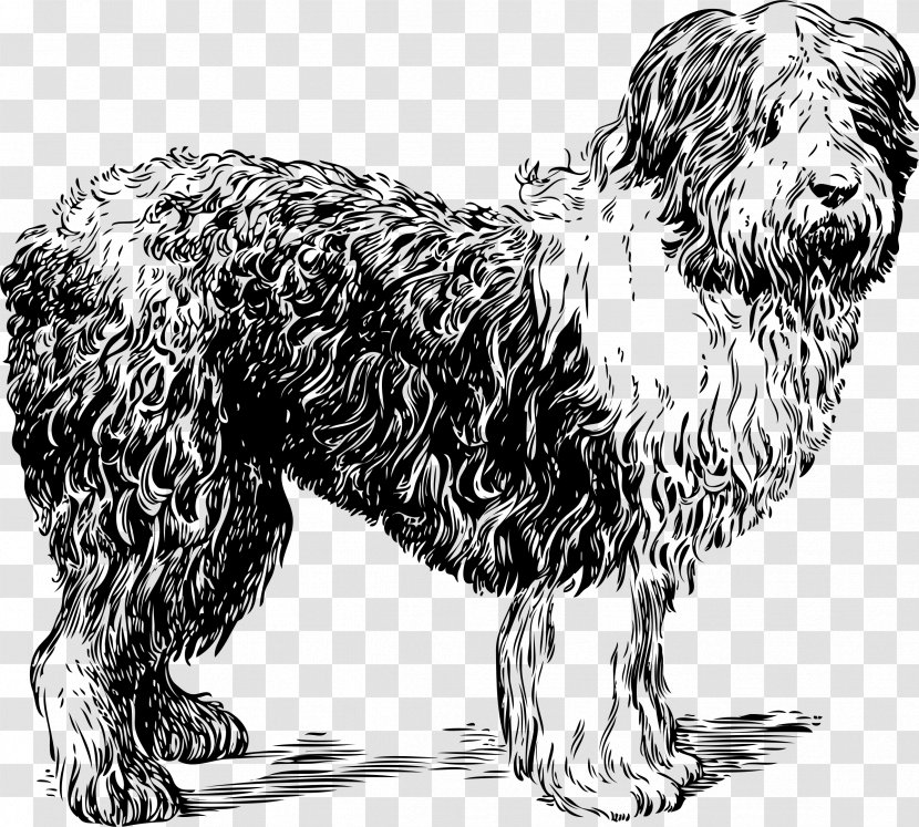 Old English Sheepdog Shetland Clip Art - Mammal - Sheep Transparent PNG