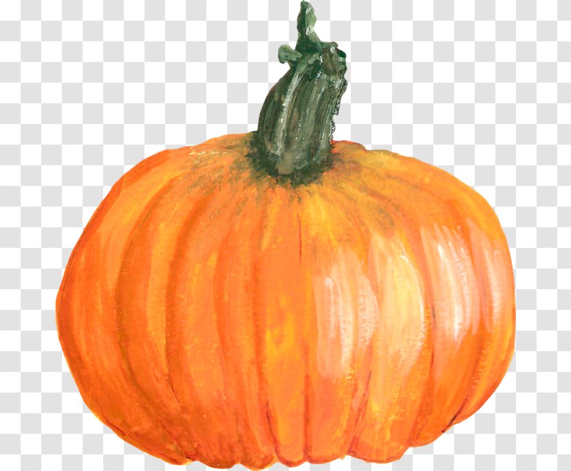Jack-o-lantern Calabaza Pumpkin Gourd Winter Squash - Seed Transparent PNG