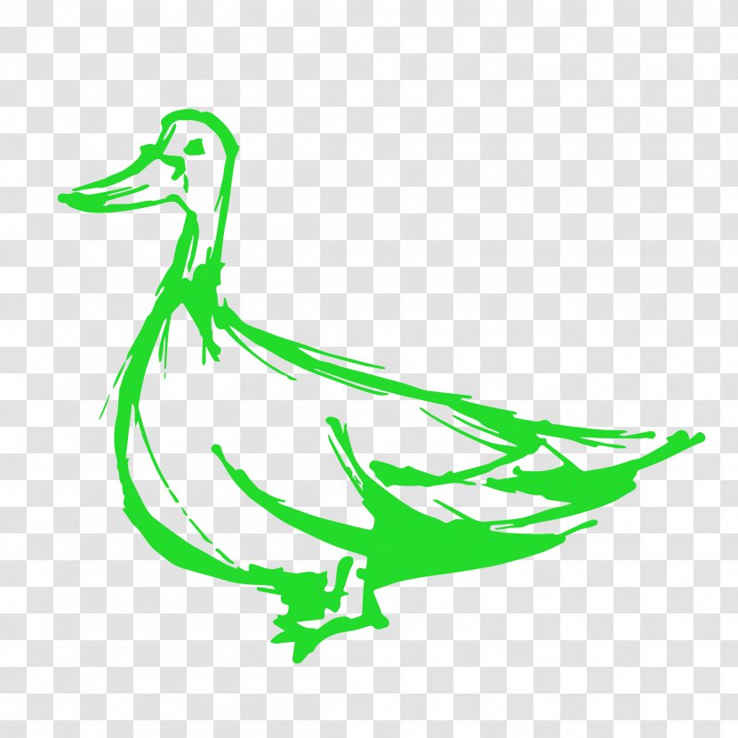Duck Green Goose Renovations & Construction Anatidae - Cygnini Transparent PNG