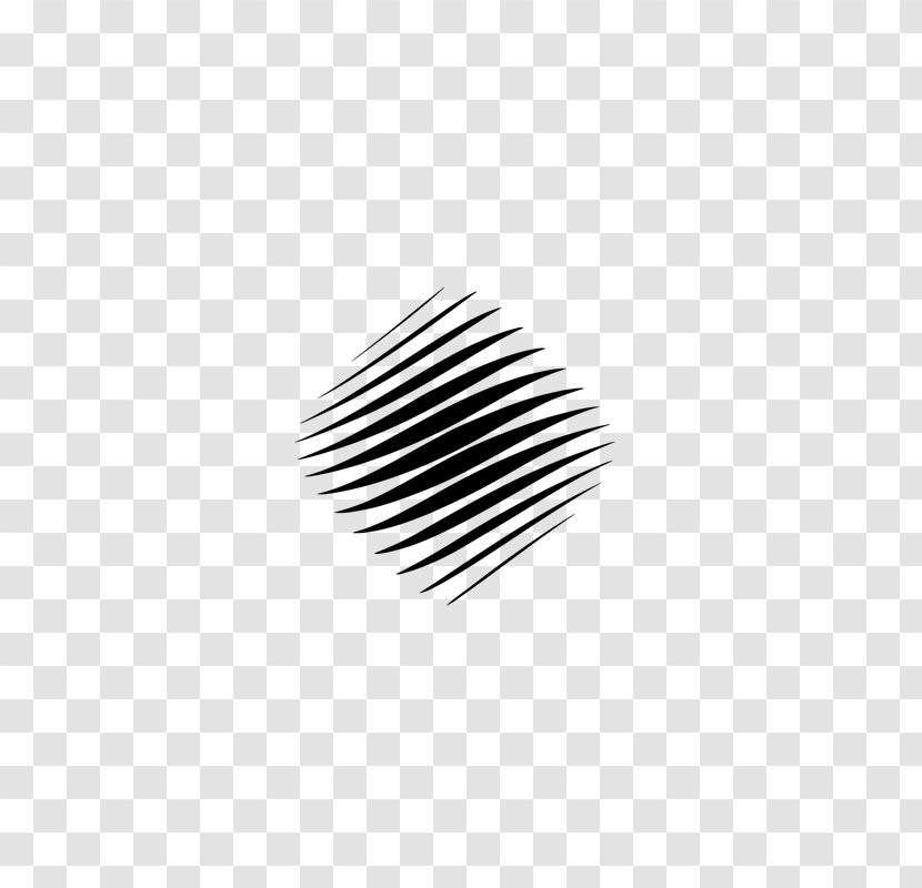 Logo Brand Line Font - White Transparent PNG