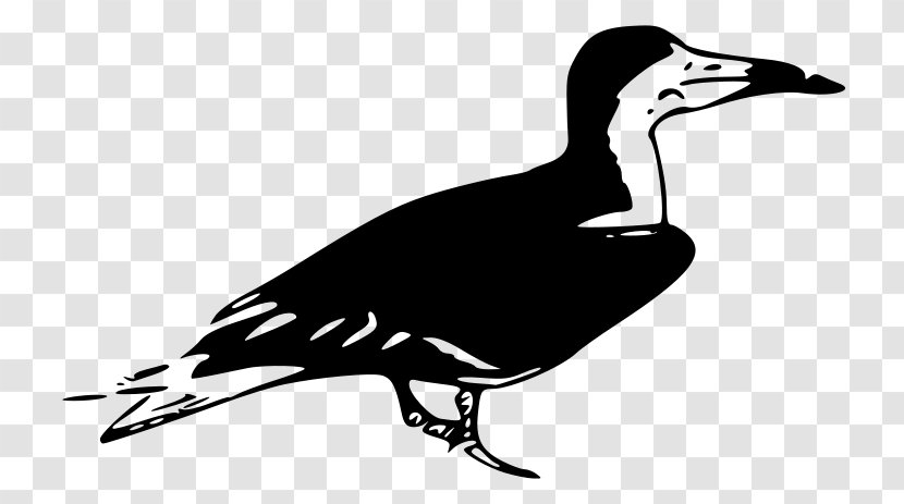 Download Clip Art - Waterfowl - Monochrome Transparent PNG