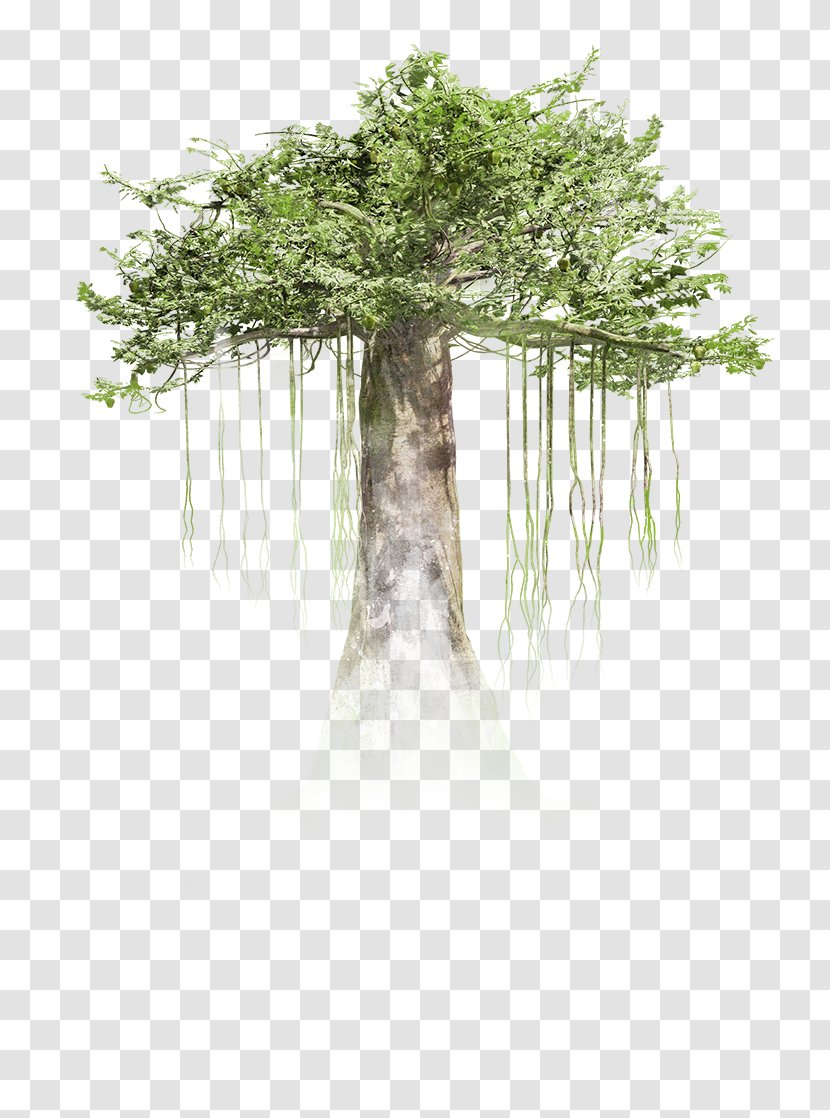 Virtual Reality Tree HTC Vive Immersion Trunk - Plant - Rainforest Trees Transparent PNG