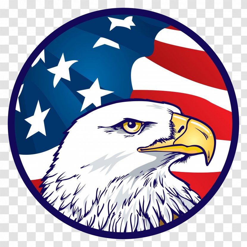 Bald Eagle Flag Of The United States American Outfitters Clip Art - Beak Transparent PNG