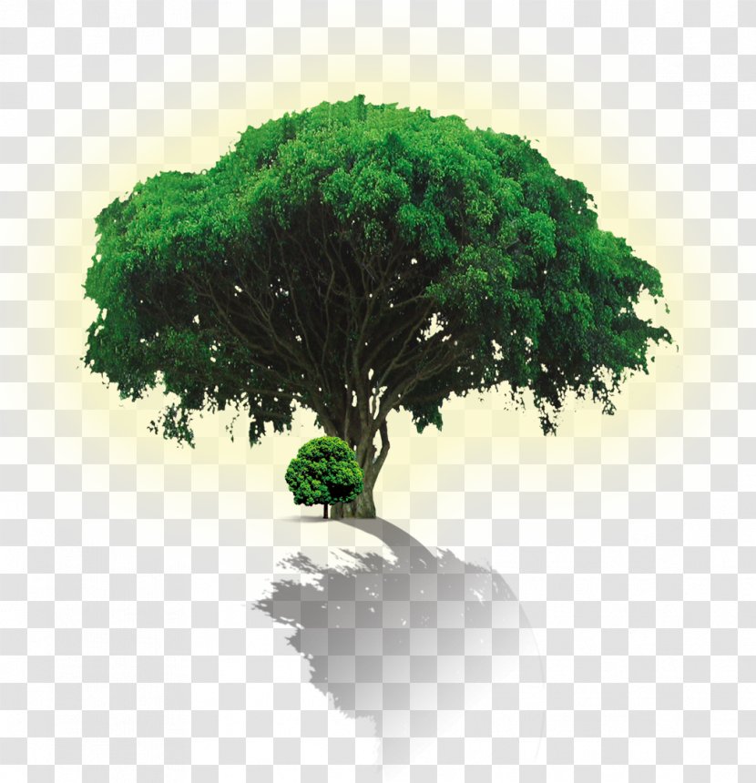 Advertising Environmental Protection Poster Green - Tree Transparent PNG