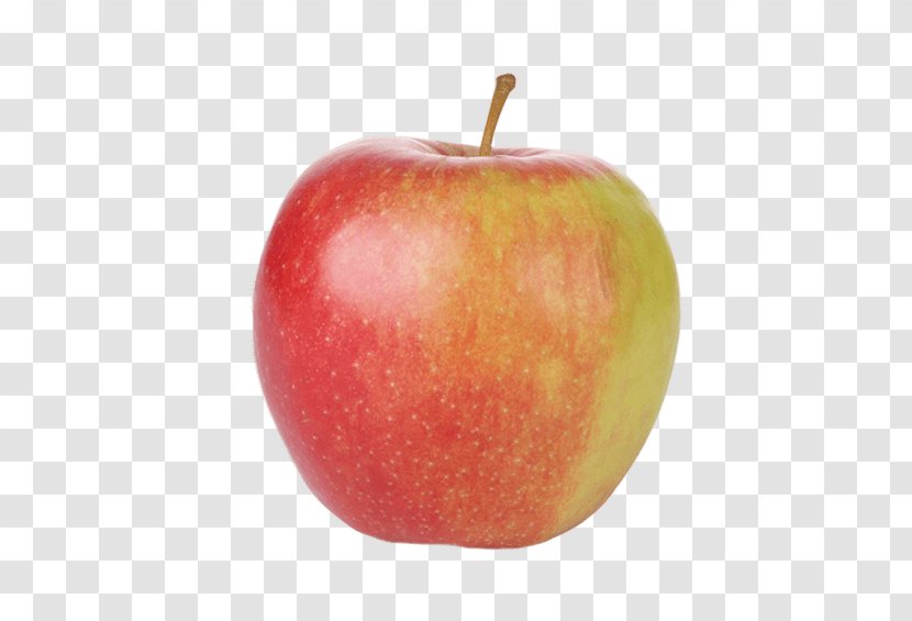 Apple Jonagold Food Maribelle Accessory Fruit Transparent PNG