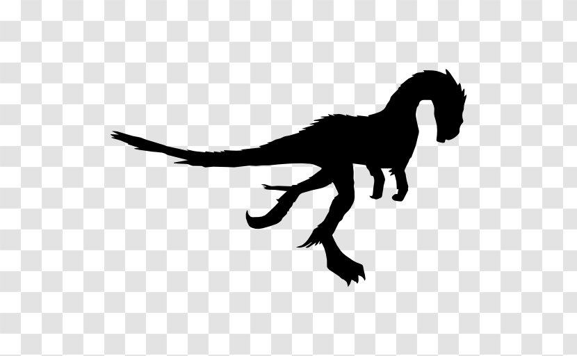 Dilong Caudipteryx Dinosaur Gigantoraptor - Tail - Vector Transparent PNG