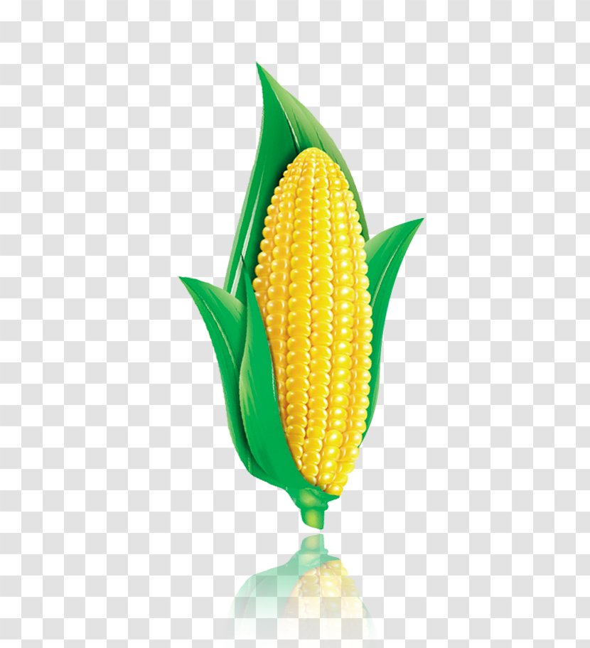Corn On The Cob Flakes Maize Chip Transparent PNG