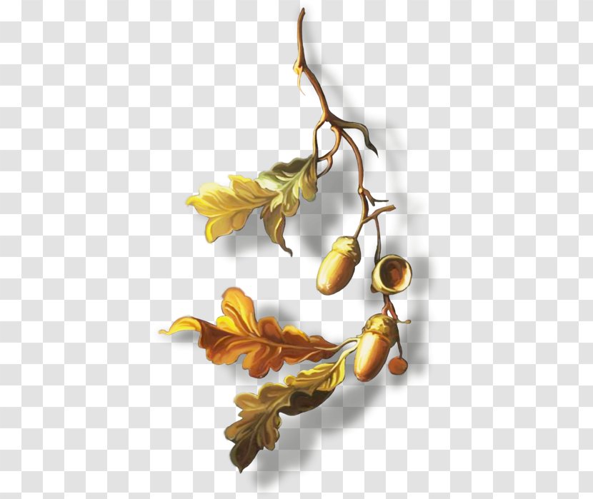 Oak Leaf Branch - Cluster Transparent PNG