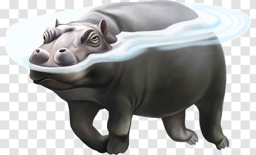 Hippopotamus Rhinoceros Polar Bear Illustration - Stock Photography - Water Hippo Transparent PNG