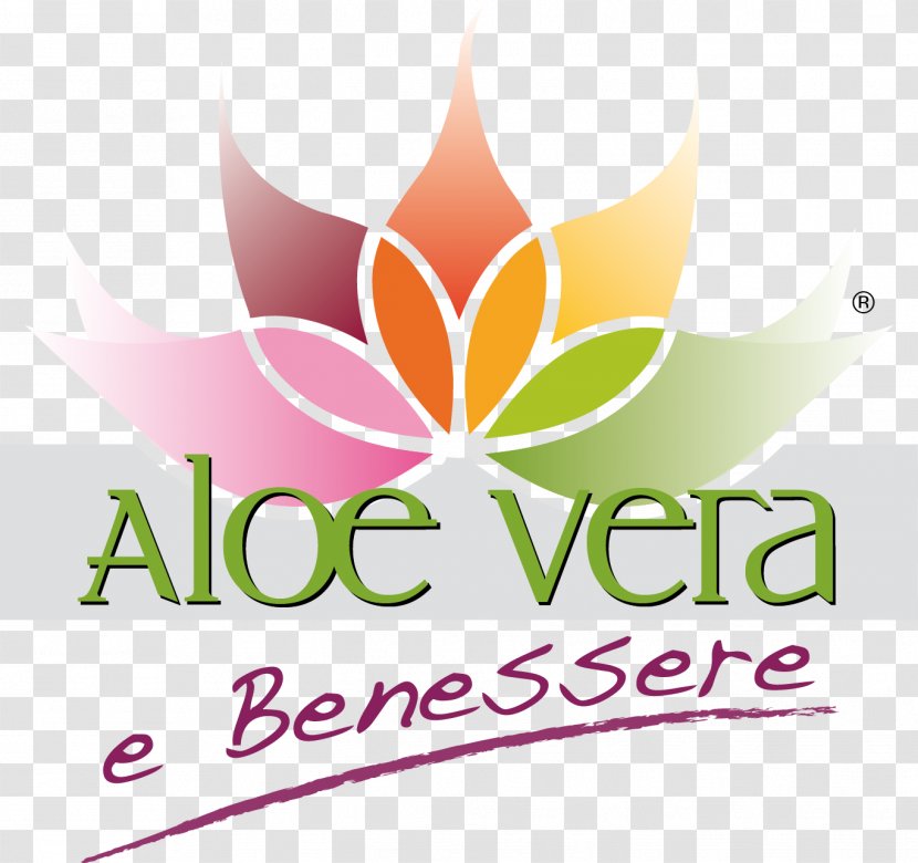 Essential Oil For Beginners: Complete Oils Recipes You Logo Graphic Design Leaf - Aloe Vera Transparent PNG