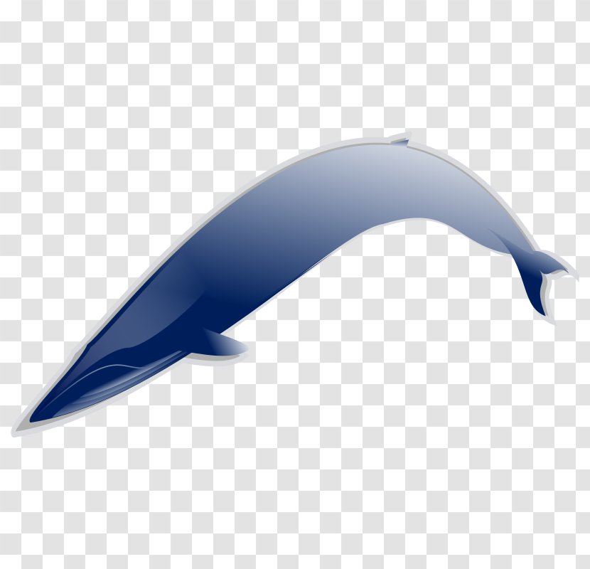Download Clip Art - Dolphin - Blue Whale Clipart Transparent PNG