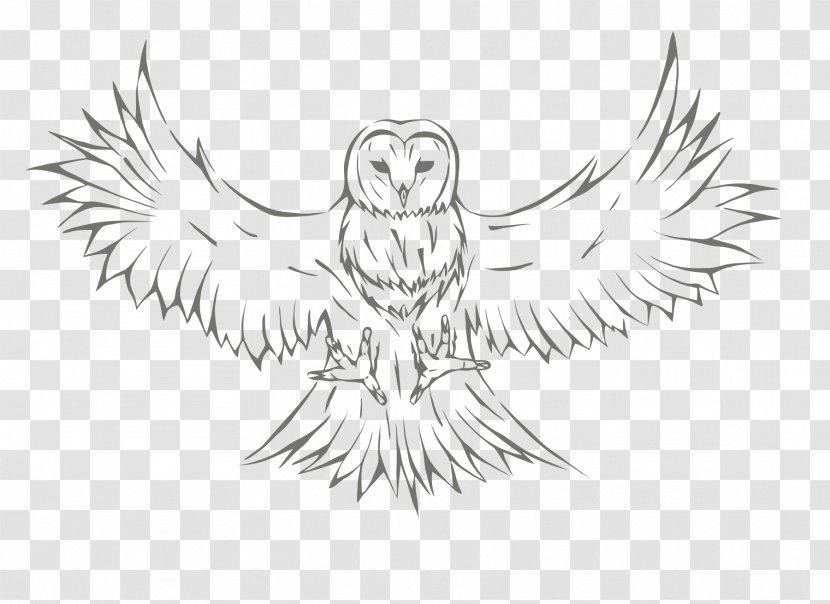 Owl Sketch Drawing Image Graphics - Frame Transparent PNG