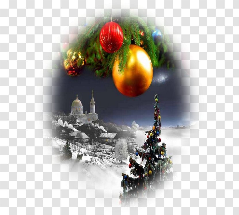 Christmas Tree Pereulok Aulak Ornament Culture - Fir Transparent PNG