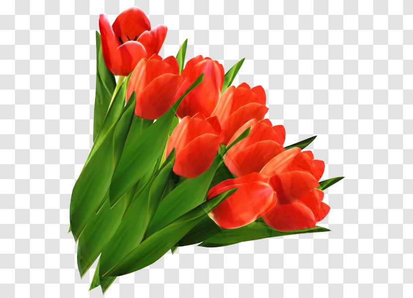 Tulip Flower Bouquet Cut Flowers Clip Art - Leaf Transparent PNG